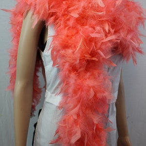 Coral coloured feathers discount