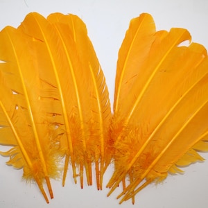 Gold Yellow Turkey Quill Feathers (10-12 inch) - 20 Pcs Craft Costume