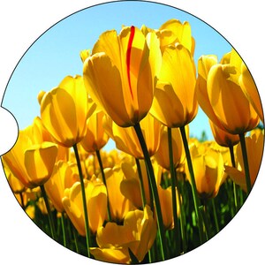 2 Absorbent Car Coasters of Flowers #12. Car Accessories for her, Auto Coaster, Coaster, Cup Holder Coaster, Gift For Her, For Him