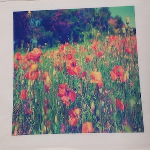 Flower Photos on Fabric. Photo Quilt squares, quilted pillow cover, Pictures on fabric, customized Quilt Pictures