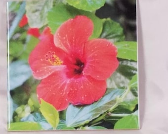 Three red Hibiscus Flower Continental Art Center 8x8 Art Tile