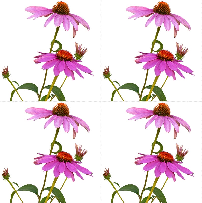 Sewing Quilting Flowers Poly Quilt Fabric Crafts Quilts Multiple Flowers on 14x14 Panel Quilters Fabric Panel #P22 Flowers Patchwork
