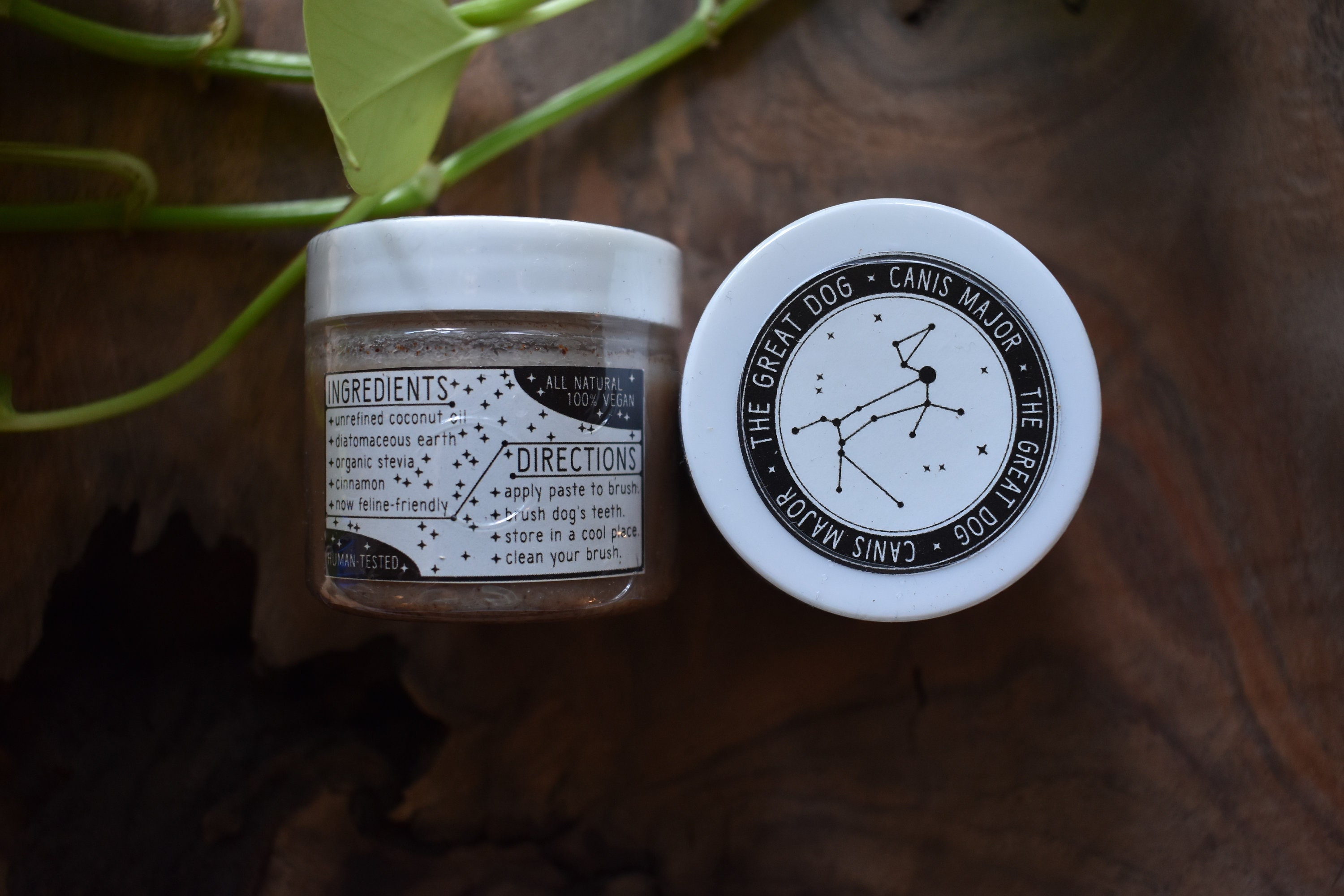 Vegan All-Natural Toothpaste and Bamboo Toothbrush for Dogs