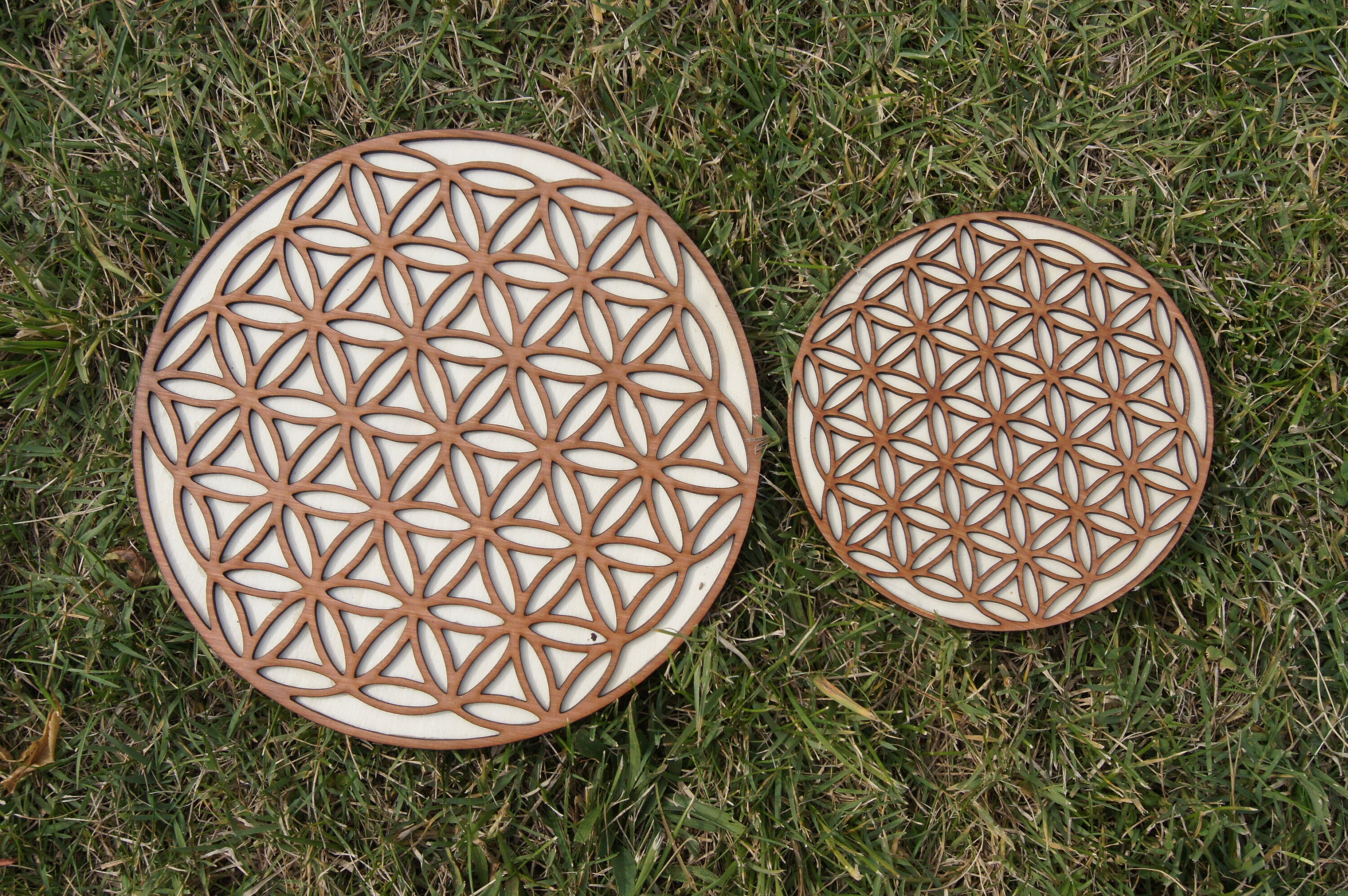 Fleur de Vie Décoration Murale