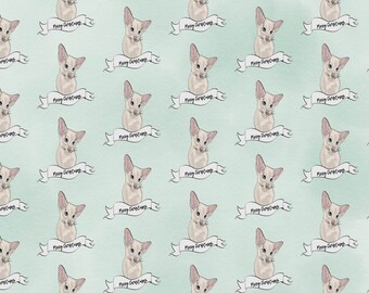 Fawn point siamese cat - merry christmas - giftwrap