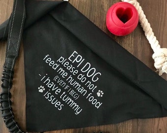 May include: A black dog bandana with white text reading "EPI DOG please do not feed me human food (EVEN IF I BEG) - I have tummy issues." A black leash and a red heart-shaped dog toy are also visible.