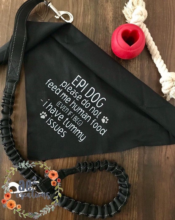 EPI Dog Please Do Not Feed Me Human Food Bandana | EPI Dog Bandana