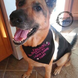 以下が含まれることがあります： 「Epic Dog (たとえ懇願しても) - 胃腸が弱い」と書かれたピンク色の文字が入った黒いバンダナをつけたジャーマンシェパード犬。犬は茶色、黒、タン色で、舌を出している。犬はタイルの床に座っている。