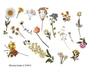 40 pc set Transparent Stickers
