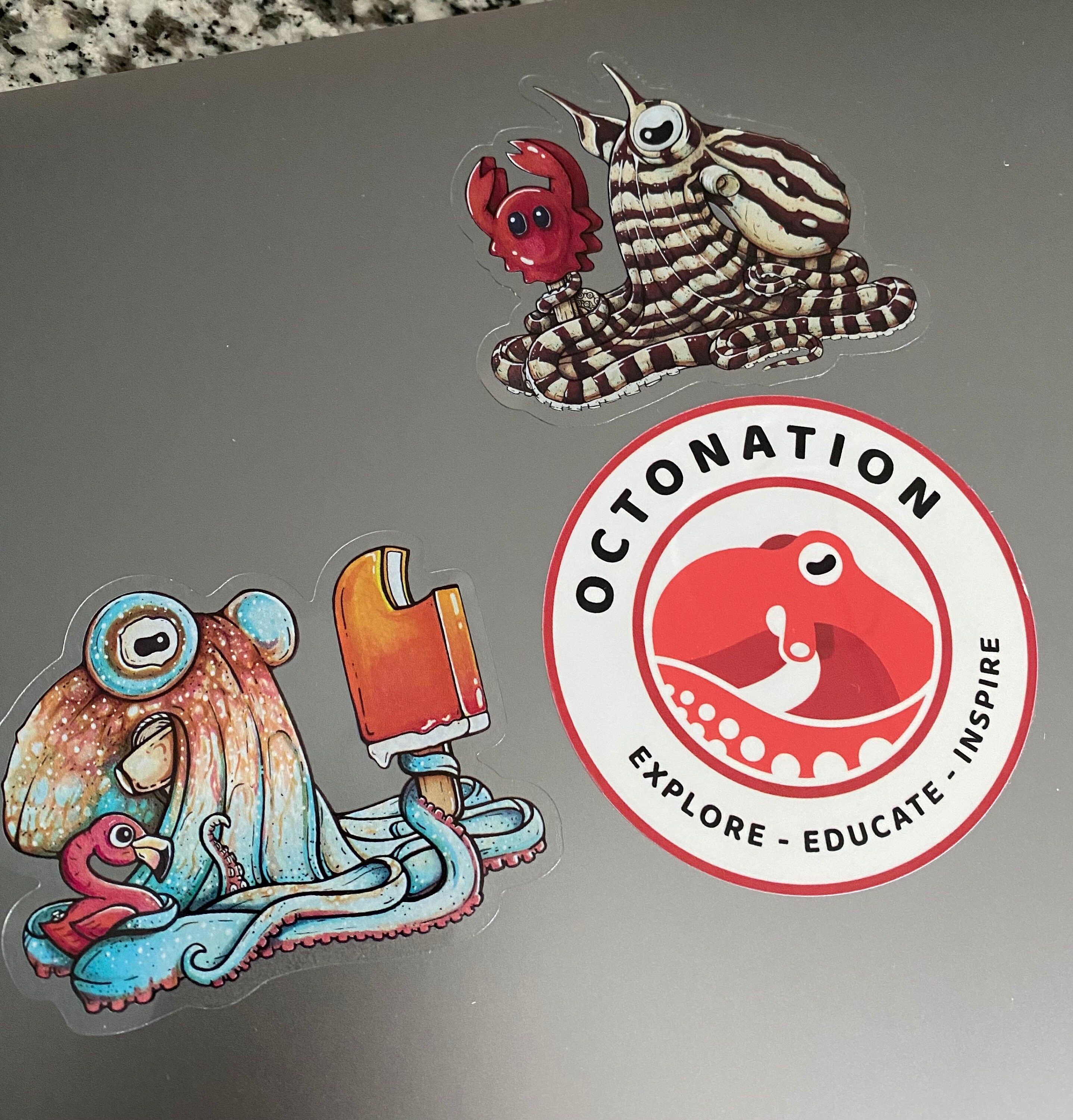 Dreamy Dani, the Caribbean Reef Octopus Sticker - Etsy