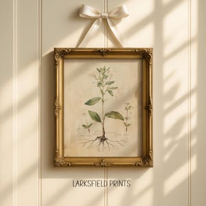 Vintage Wildflower Botanical Print: Cottagecore Floral Wall Art (Digital Download
