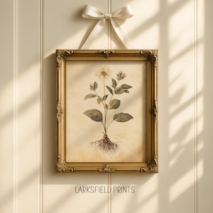 Vintage Botanical Print: Wildflower Illustration, Cottagecore Wall Art (Digital Download 300 DPI JPGs)