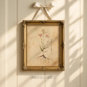 Vintage Wildflower Botanical Print: Cottagecore Floral Wall Art (Digital Download)