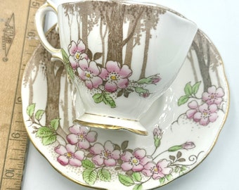 Royal Albert tekopp och fat: Vintage benporslin med handmålade rosa blommor