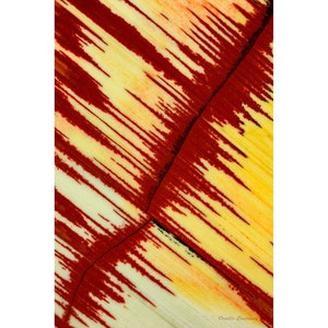 Agate Mineral Photography Artwork Abstract, Canvas and Metal Print Wall Art, Nature Photo, Agate Wall Decor, Agate Print