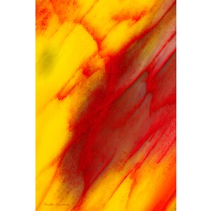 Agate Mineral Photography Artwork Abstract, Canvas and Metal Print Wall Art, Nature Photo, Agate Wall Decor, Agate Print