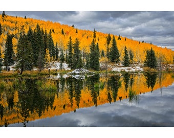 May include: A scenic landscape featuring a lake reflecting a hillside covered in vibrant yellow autumn trees. Dark green evergreen trees are interspersed among the yellow foliage. The sky is overcast, and a small patch of snow is visible.