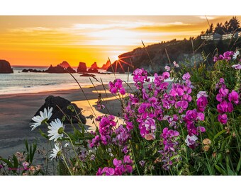 May include: A scenic landscape photograph of a beach at sunset. The sky is a gradient of orange and yellow, with the sun setting over the ocean. Pink flowers and white daisies are in the foreground, with the ocean and rock formations in the background.