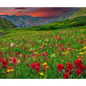Imagen de puesta de sol de flores de las montañas de Colorado, lienzo de paisaje e impresión de metal, arte de pared, foto de paisaje, decoración de pared rural, impresión de bellas artes