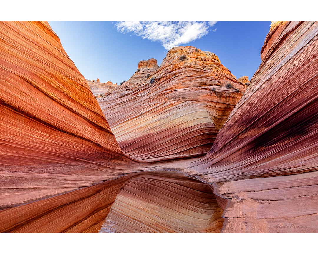 The Wave, Arizona Landscape, Canvas and Metal Print Wall Art