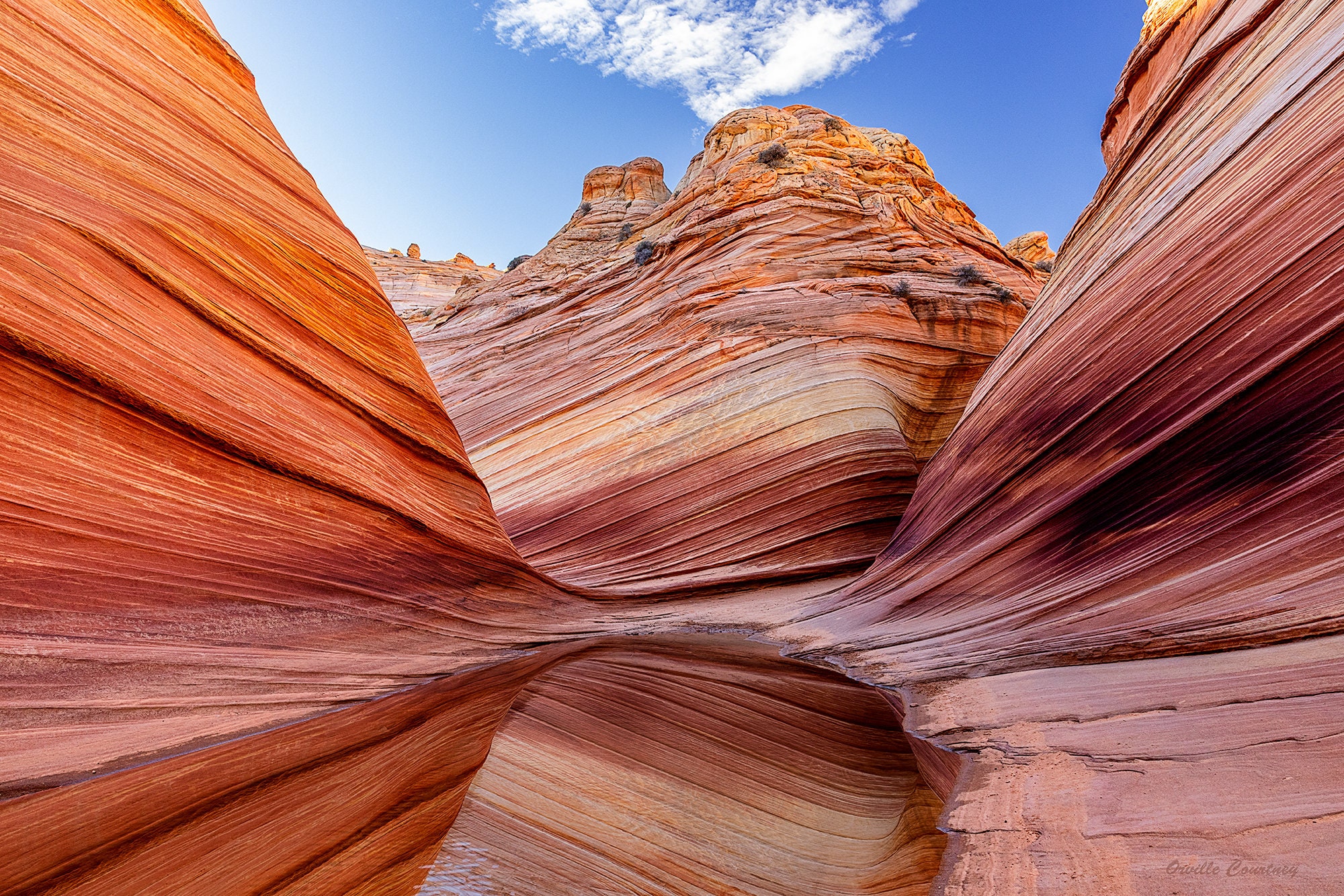 The Wave, Arizona Landscape, Canvas and Metal Print Wall Art