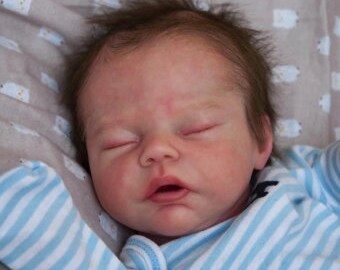 cat creations reborns