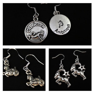 Zodiac Capricorn earrings sterling silver hook