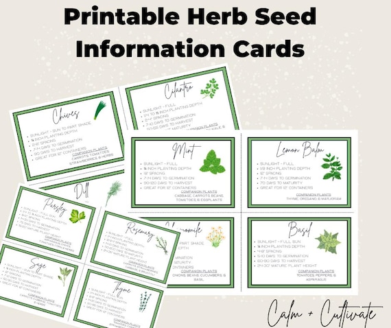 Herb Garden Guide | Seed Information Cards (PDF)