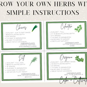 May include: A beige graphic with the text "GROW YOUR OWN HERBS WITH SIMPLE INSTRUCTIONS." Four green-bordered cards detail growing instructions for chives, cilantro, dill, and oregano, including sunlight needs, spacing, and harvest times.