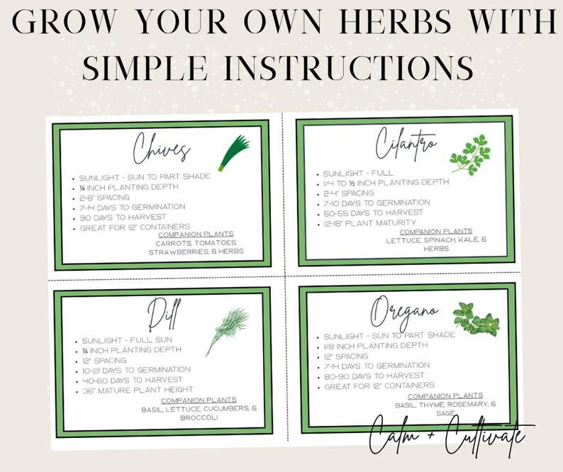 May include: A beige graphic with the text "GROW YOUR OWN HERBS WITH SIMPLE INSTRUCTIONS." Four green-bordered cards detail growing instructions for chives, cilantro, dill, and oregano, including sunlight needs, spacing, and harvest times.