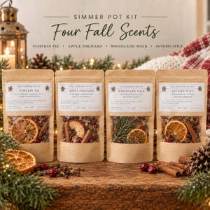 May include: Four kraft paper pouches containing simmer pot kits labeled Pumpkin Pie, Apple Orchard, Woodland Walk, and Autumn Spice. Each pouch features a clear window displaying dried orange slices, cinnamon sticks, and various botanical ingredients.