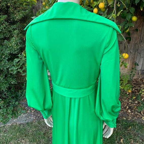 Vintage Green 70s Maxi Gown - image 8