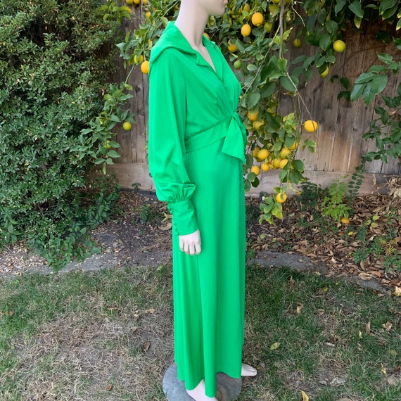 Vintage Green 70s Maxi Gown - image 7