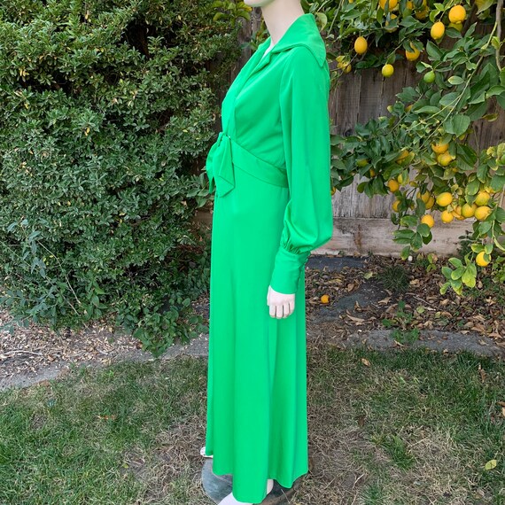 Vintage Green 70s Maxi Gown - image 6