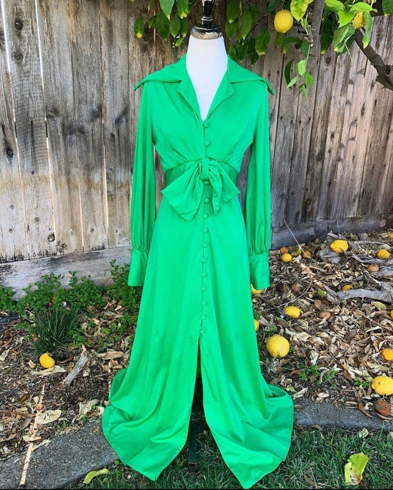 Vintage Green 70s Maxi Gown - image 1