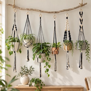 May include: Six macrame plant hangers in black and cream cord are suspended from a horizontal driftwood branch. Each hanger holds a potted plant with green foliage. Two additional potted plants sit on a wooden surface below the hanging display.