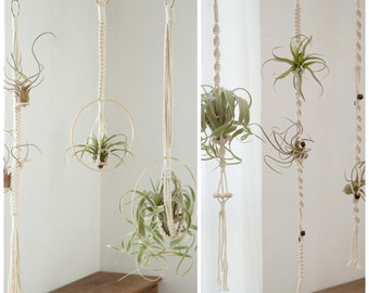 Air plant hanger Hanging air plant holder Airplants display wall planter Simple Minimalist macrame rope planter Boho Plant lover gifts