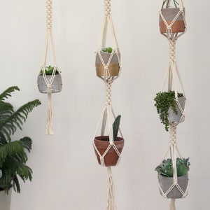 May include: Three macrame plant hangers with different coloured pots and plants. The hangers are made of natural cotton rope and have a tassel at the bottom. The pots are made of concrete and have a natural finish. The plants are succulents and are in various shades of green.