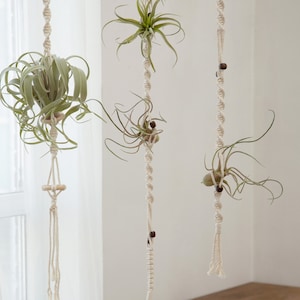 Air plant hanger Hanging air plant holder Airplants display wall planter Simple Minimalist macrame rope planter Boho Plant lover gifts