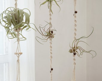 Air plant hanger Hanging air plant holder Airplants display wall planter Simple Minimalist macrame rope planter Boho Plant lover gifts