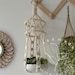 see more listings in the Macrame Plant Hanger section