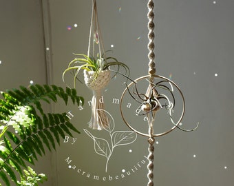Suncatcher luftväxthållare Discokula luftväxthängare Liten makraméväxthängare med ljusfångare Luftväxtdisplay växtälskare present