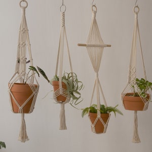 May include: Four macrame plant hangers with different designs, each holding a potted plant. The hangers are made of natural white cotton rope and have a rustic, bohemian style.