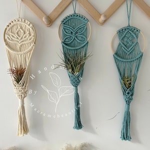 Small Macrame Air Plant Hanger Holder for Indoor Hanging Display - Boho Chic Plant Lover Gift Idea