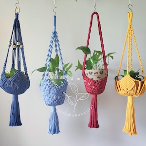 Puede incluir: Tres maceteros colgantes de macramé con borlas. Los maceteros son azules, rojos y amarillos. Cada macetero tiene una planta en maceta.