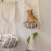 see more listings in the Cat hammock section