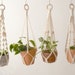 see more listings in the Macrame Plant Hanger section