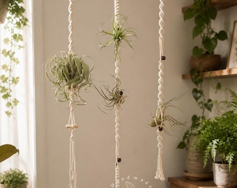 Hanging air plant holder Macrame air plant hanger Boho plant hanger Air plant display Tillandsia holder Gifts for her Plant lover gifts