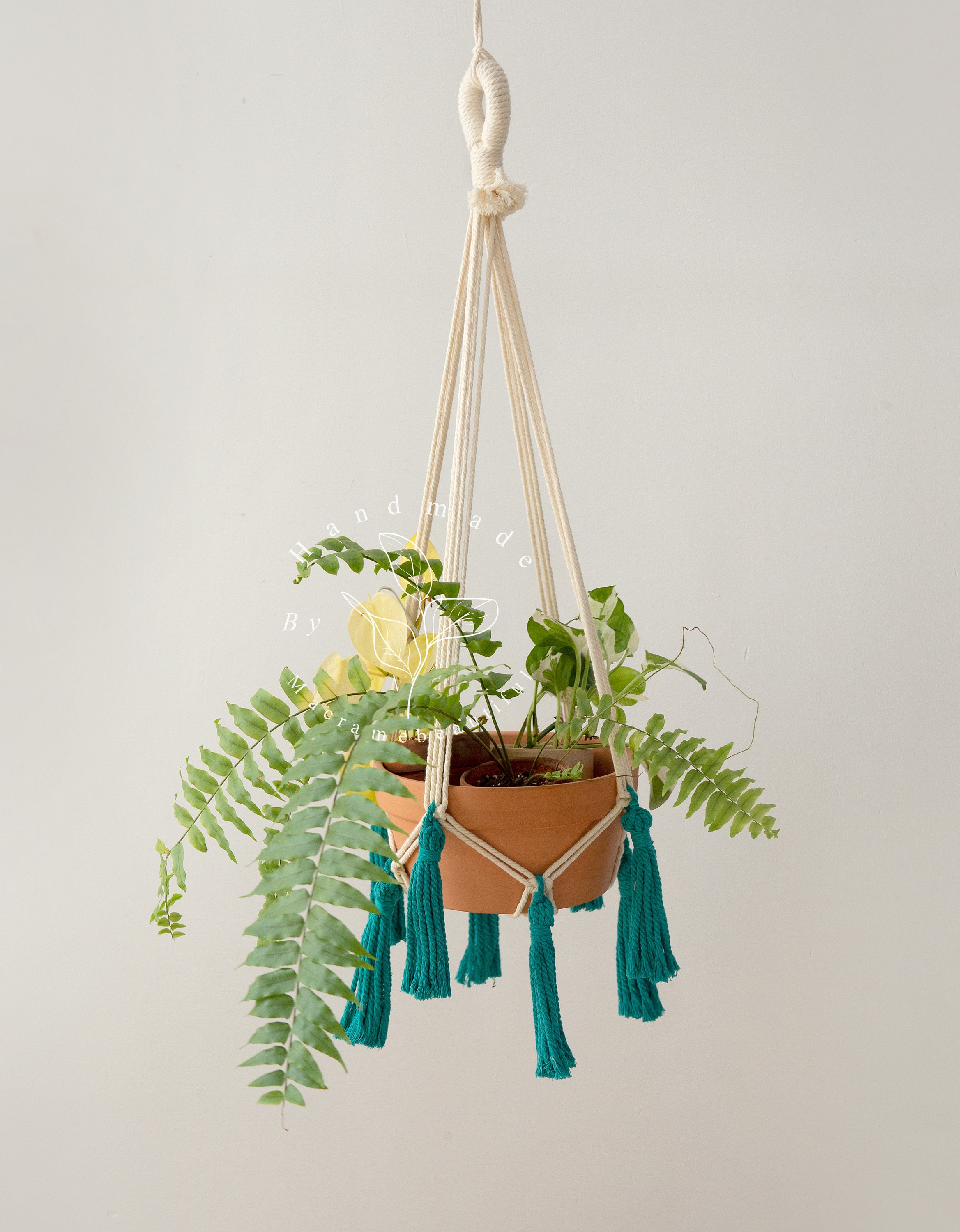 Tassel Macrame Plant Hanger Hanging Plant Holder Indoor Plant Hanger Large Hanging  Planter Wall Planters Plant Lover Gift Bohemian Decor - Etsy