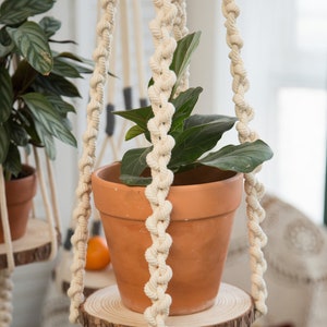 May include: A white macrame plant hanger with a brown terracotta pot and a green plant hanging from it. The plant hanger is hanging from a wooden shelf.